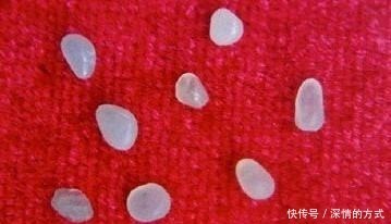 植物纤维|为何高僧圆寂后会产生舍利子?而普通人却没有,看完你就了解了!