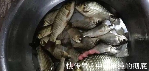 冬季野钓口诀知多少