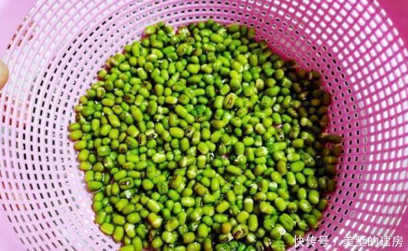 不用|今天才知道,原来发豆芽这么简单,以后再也不用花钱买了