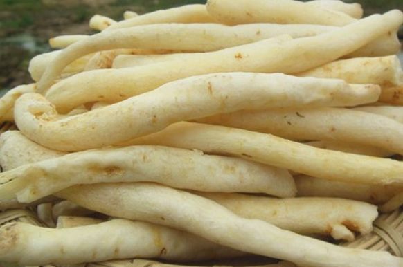 被誉为野草中的小人参，价值十分的珍贵，可惜知道的人并不多！