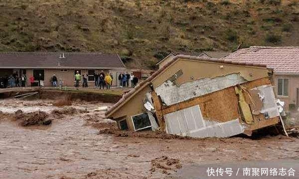 道理|“竹子开花,马上搬家”,老祖宗为何这么说?有什么道理吗?