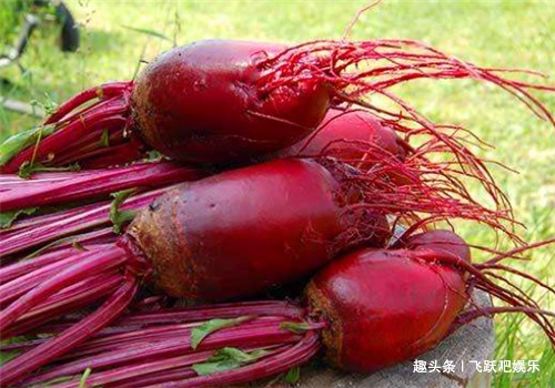 宿便|女性不想老太快,多食4种食物,改善体质,滋补身体,滋养肌肤!