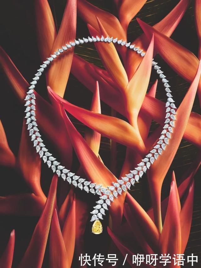 买百万高定珠宝的女人,都是什么身份