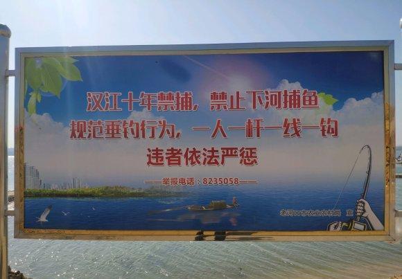 千湖|千湖之省，曾经钓鱼人的圣地，现如今真没有下竿的地方？