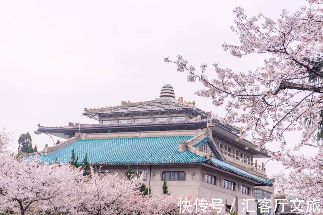 小火车|再过30天,世界又要被惊艳了!因为,中国的春天到了