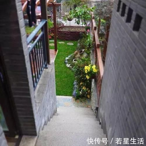 花花草草|晒晒我家40平小庭院，喝茶赏花岁月静好，邻居天天跑来蹭玩