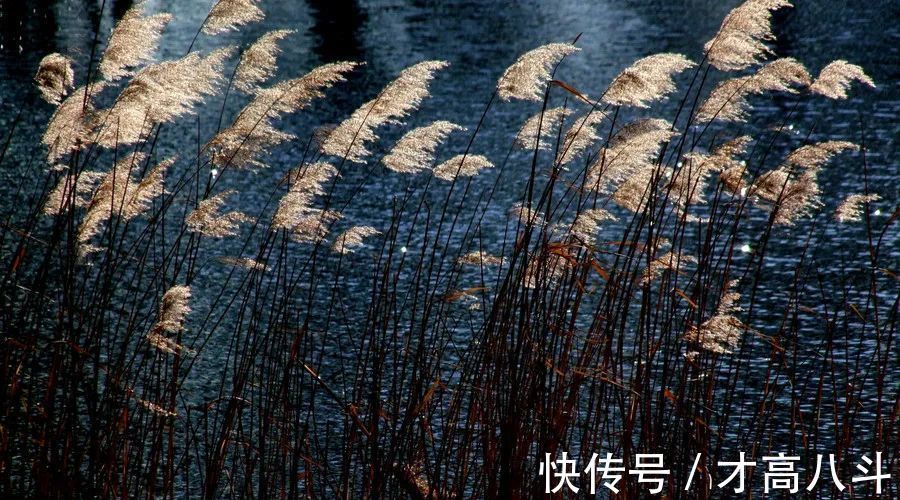 怀古#25首经典怀古诗词,荡气回肠,穿透古今,每一首都值得背下来