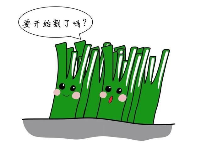 充电|充电31分钟花了9元，共享充电宝“闷声发大财”