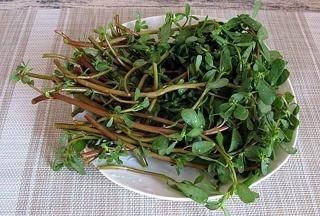 甲狀腺結(jié)節(jié)的“元兇”找到了,三物常端上餐桌,甲狀腺也會(huì)感謝你