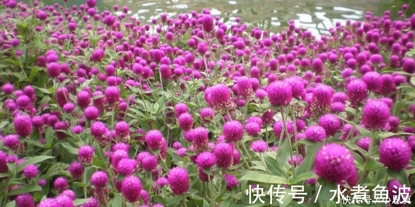 表面|最“闷骚”的四大生肖,表面上对你满不在乎,却日夜思念你