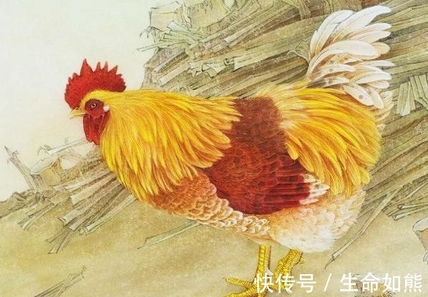 桃花|2022年月老牵姻缘，桃花红遍天的3大生肖女，良缘将至