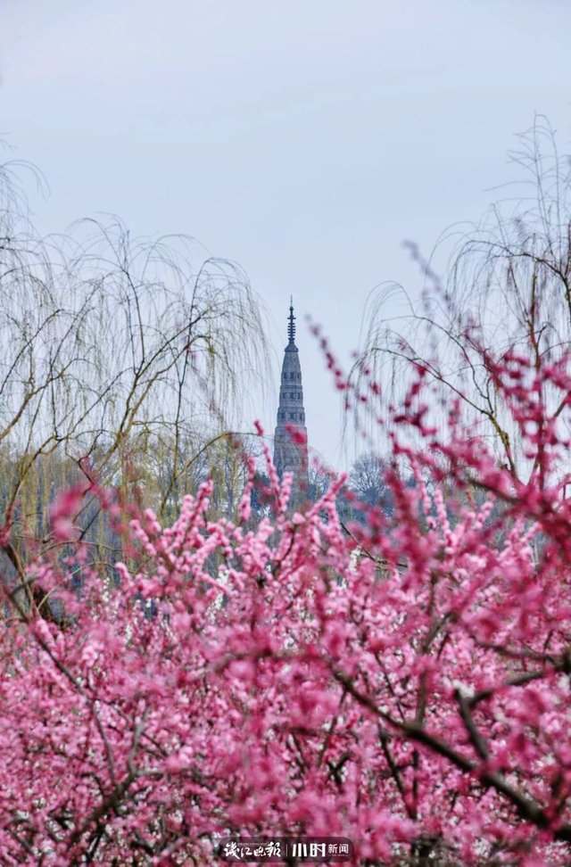 开工第一天 满目春色入镜来，摄友说我们每天都“开工”
