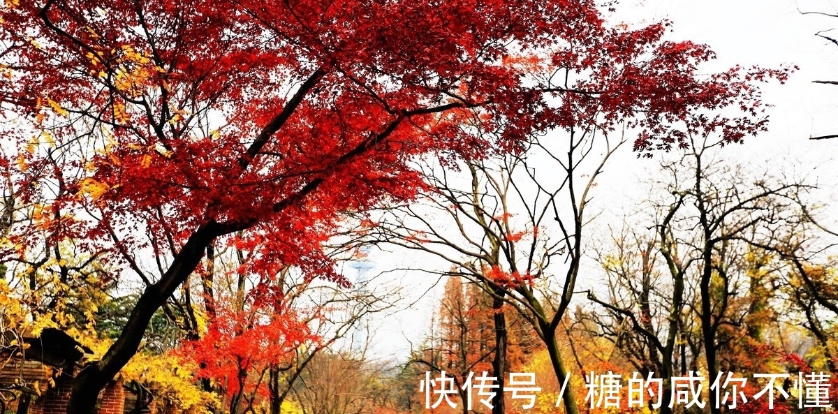 元稹|秋风生渭水，落叶满长安。三首思念朋友的古诗，哪一首能够打动你