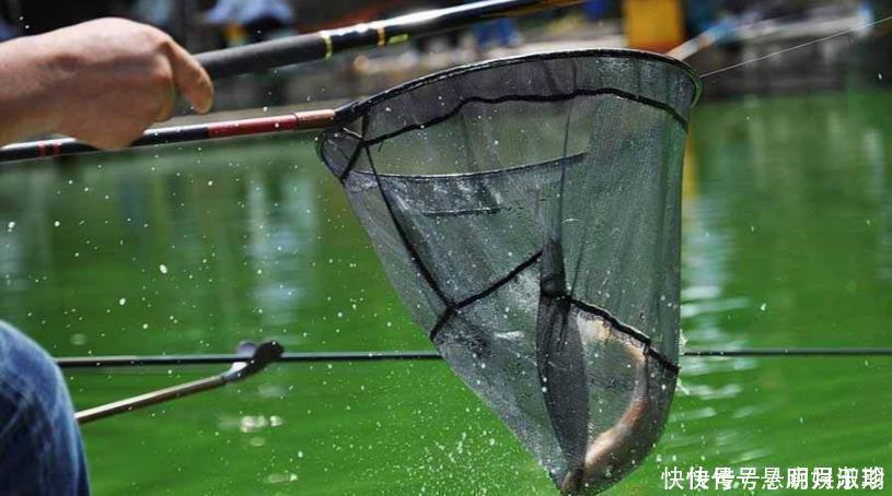 新手调漂，如何准确调漂找底以及更好的调节浮漂灵敏度，看这里