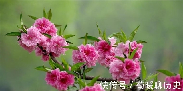 汉武帝!李商隐碧桃二首,遇见一个人,牵起前生今世