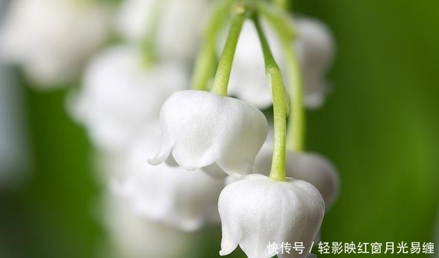 话说|做人,凡事要有度