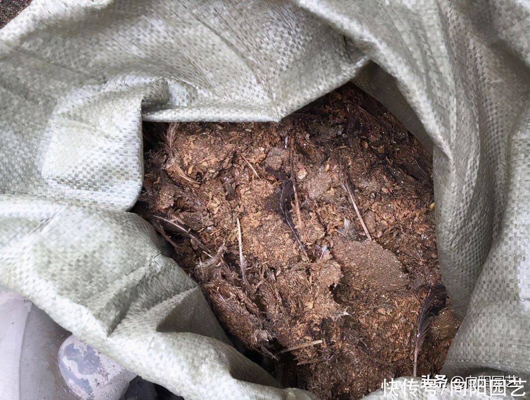 农村最常见的3种肥料，教你学会“堆肥”，立春后就能使用了