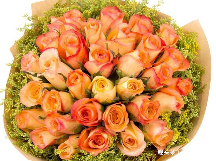 化妆|不喜欢化妆的3个生肖女,总以素颜淡妆示人,却显得优雅大方