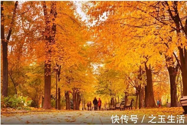 王维#王维的《山居秋暝》,只有八句话,但是句句都是流传千古的名句