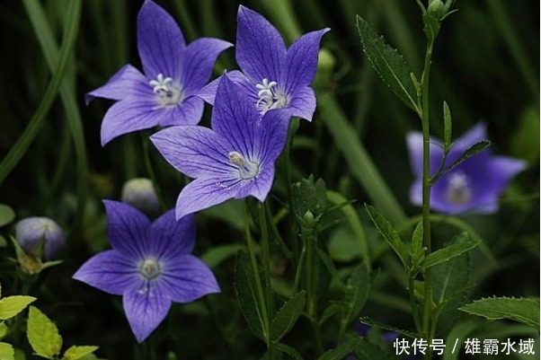 俗话说:人有脸,树有皮,想要“财福”从天而降,别丢了4种尊严