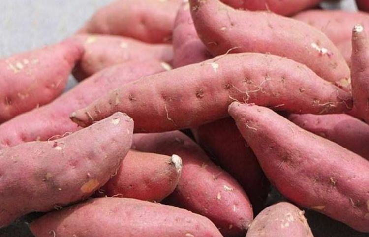 冬天多吃红薯，试试这4种好吃做法，简单易做，分享做法快来学