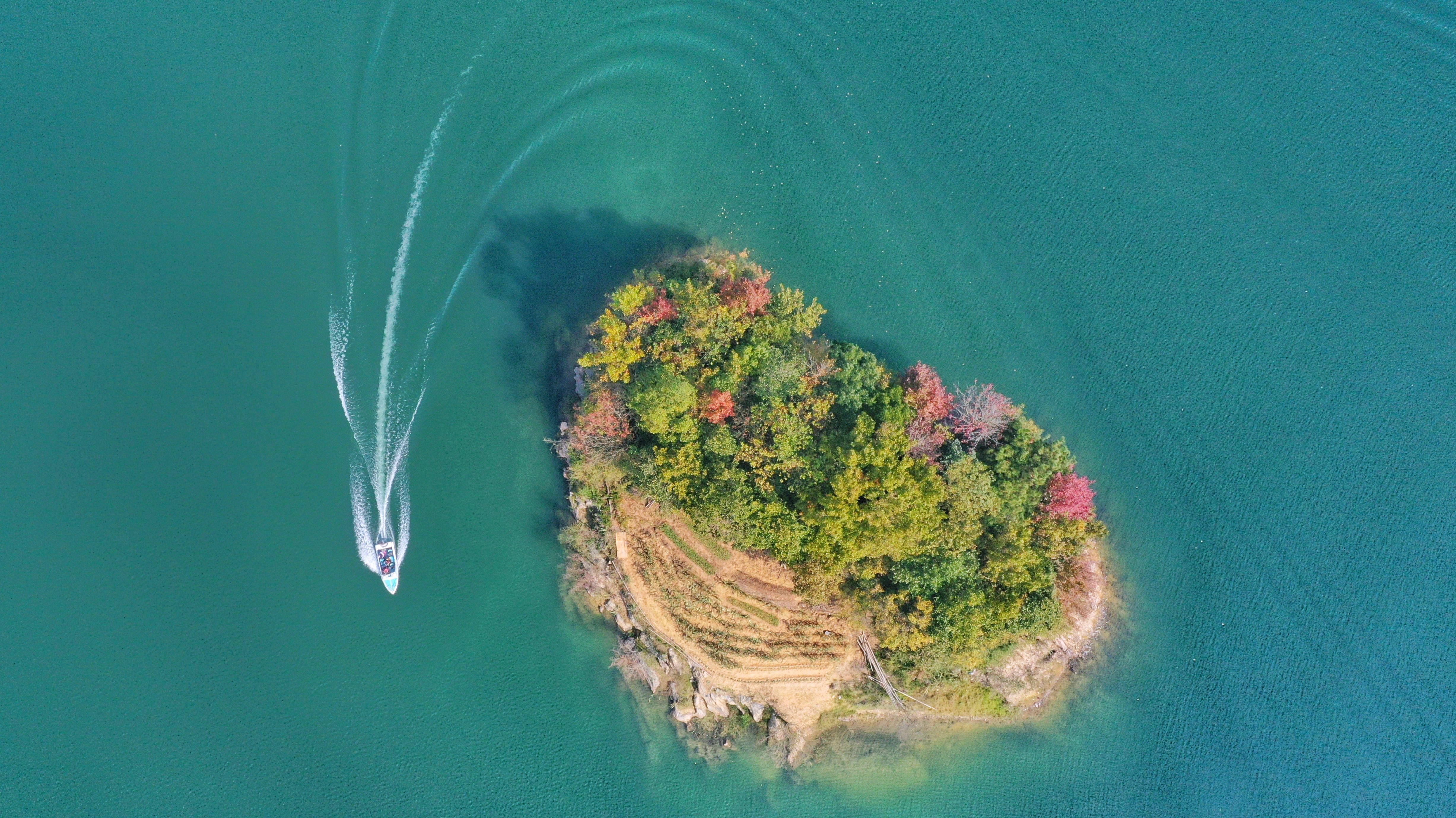 打翻|深秋的千岛湖打翻了“调色盘”，美翻啦！