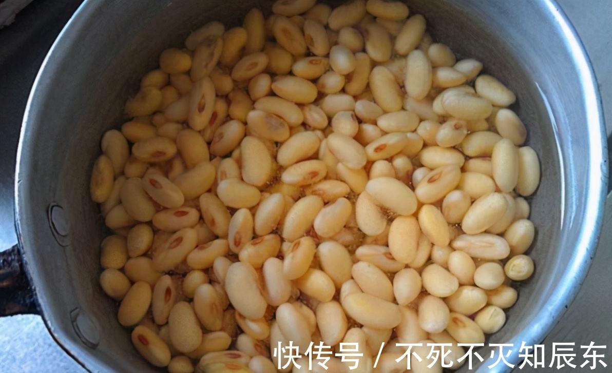 学会制作这3样养花肥,掌握正确用法,不花钱就能用上好肥料