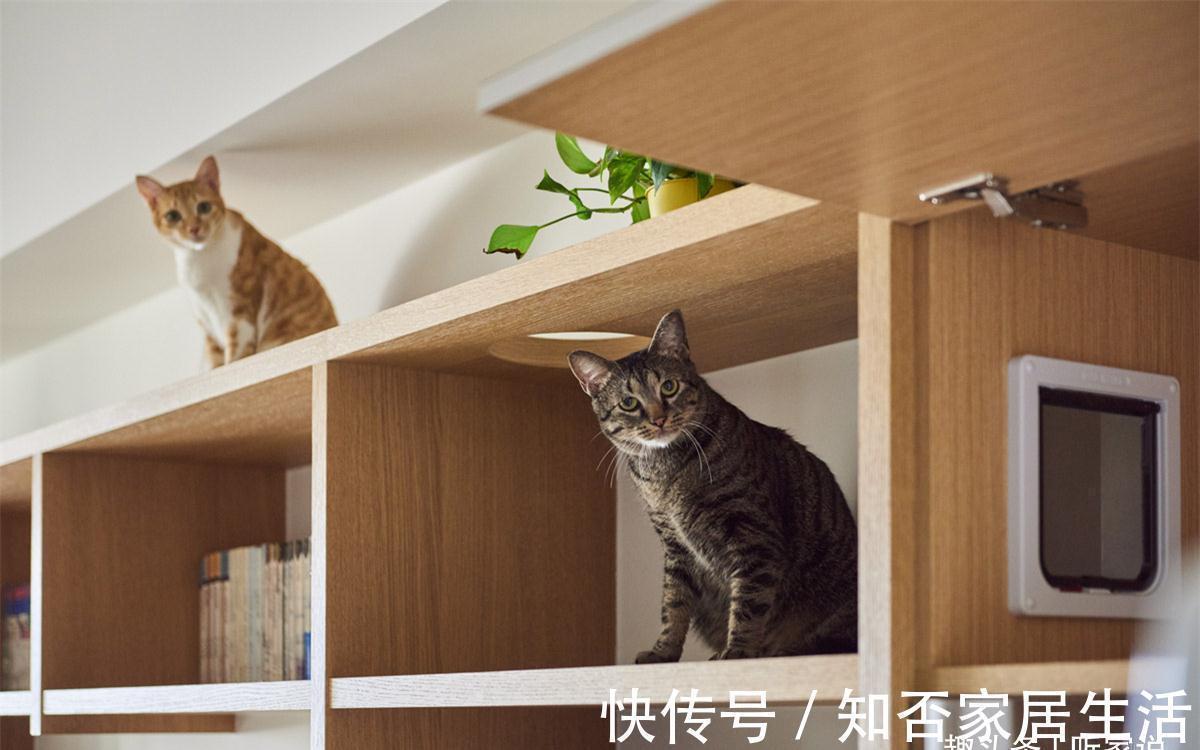 干净|日本90后姑娘太自律:每天把家收拾得一尘不染,入住4年干净如新