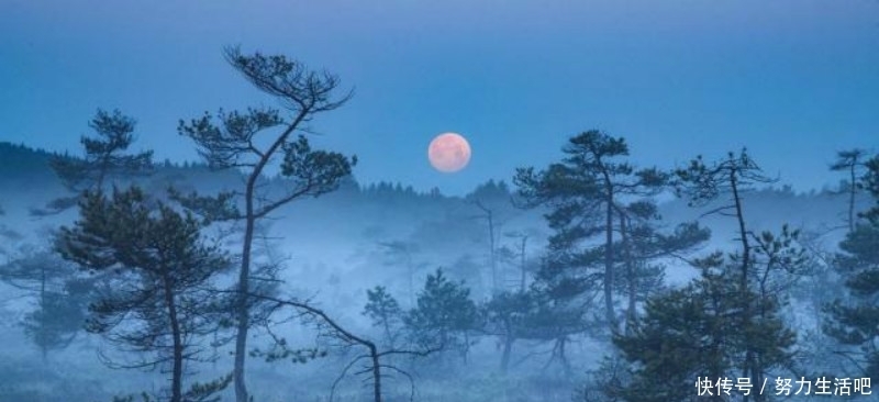 读了这么久的唐诗,现在才知道《静夜思》并不是原作,被后人改过