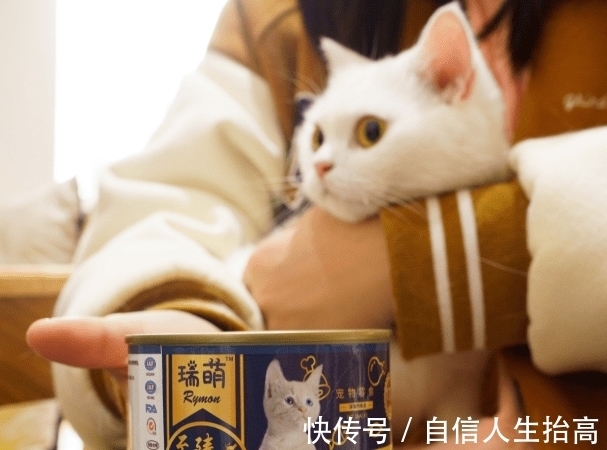 进口猫罐头哪个品牌好？进口猫罐头品牌排行榜