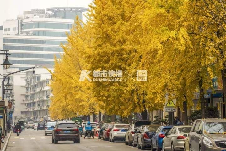 珍惜|杭城最金闪闪的一天，刷屏朋友圈！且看且珍惜啊……