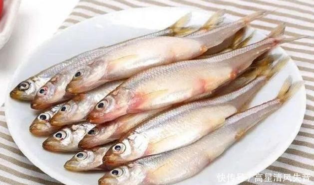 此鱼一年一死,体长不足15CM,自带黄瓜香味,却常被误认成小杂鱼