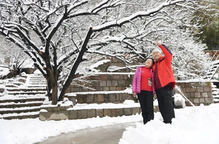 肖枫|你那里是下雨还是下雪？今天，同在青岛，却仿佛不在一个季节...