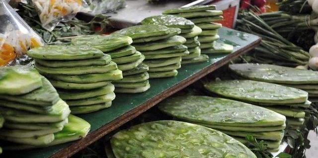 仙人掌养10年,长成老果树,挂满“火龙果”,能摘20斤