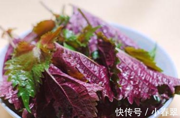 腥味|炖鱼时,聪明人从不放料酒和啤酒,加点它,鱼汤更浓白还无腥味