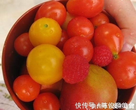 决明子|藏在身边的“天然护肝王”,每天吃一点,肝越来越好,肝病不来扰