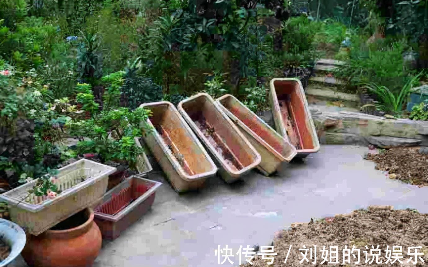 养分|养花的“旧土”别浪费，3步巧加工，又“肥的流油”，养花一级棒