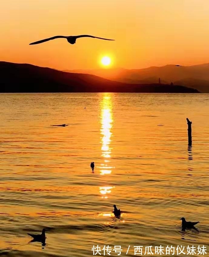 丁小槐#《沧浪之水》:一部经典官场小说,告诉我们职场生存的5个真理