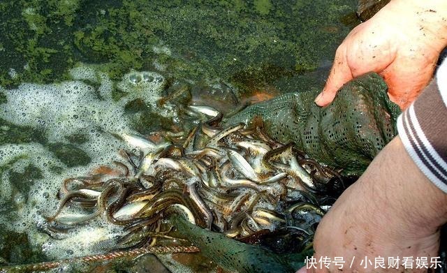 钓鱼人的“福利”:政府搭建钓台规划垂钓区,全国即将“推广”?