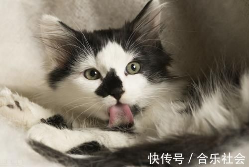 发黄|看舌相判健康，裂痕舌，齿痕舌，发黄舌，紫黑舌？中医一次说清楚