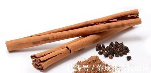 伤寒|名老中医珍贵经验总结：中药10大主帅，怎么用效果最佳？满满干货