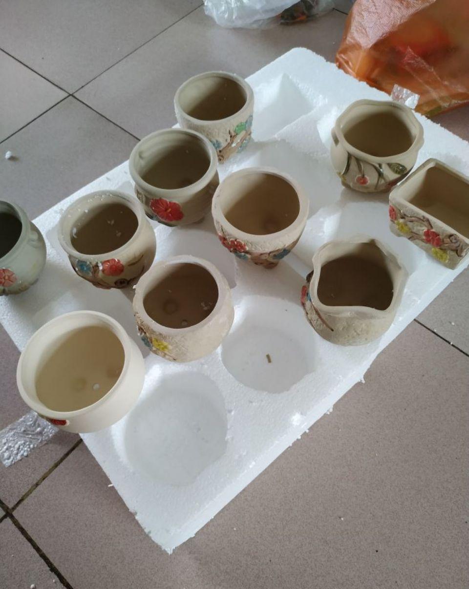 养多肉不会选盆?3个方法,教你一次选对花盆