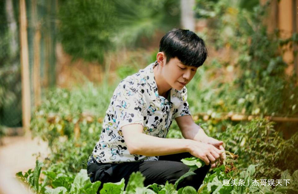 向往生活|陶虹，最不該出現(xiàn)在蘑菇屋的人，但卻是黃磊最喜歡接待的人