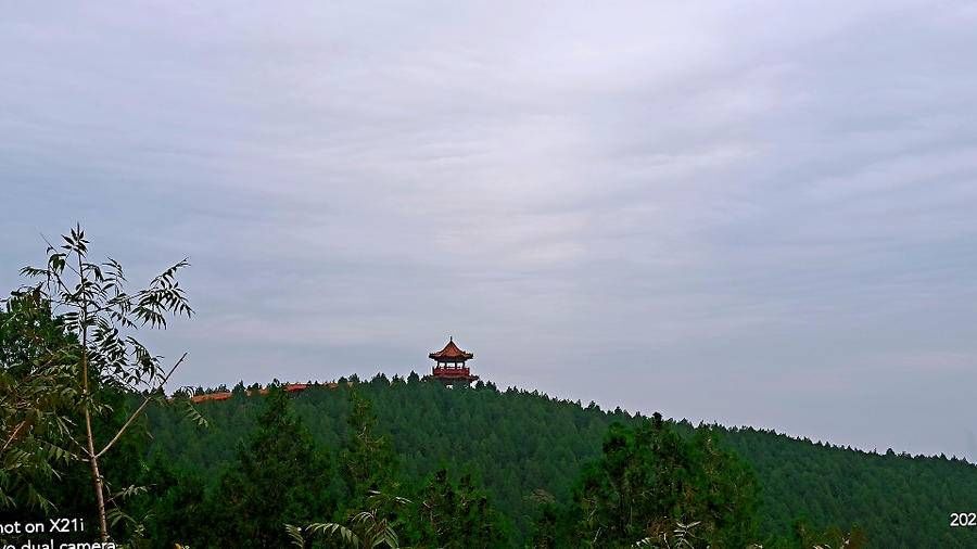 天儿|今天早上济南的天儿像昙花，忽阴忽晴羞答答