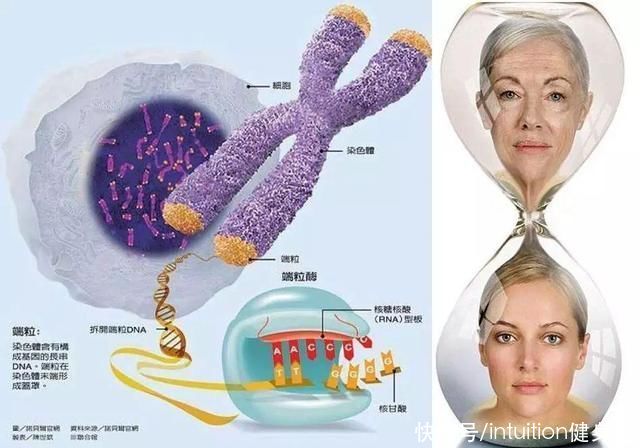 有氧运动|减肥瘦下来后，为什么会显老?一招避免减脂后衰老的困扰