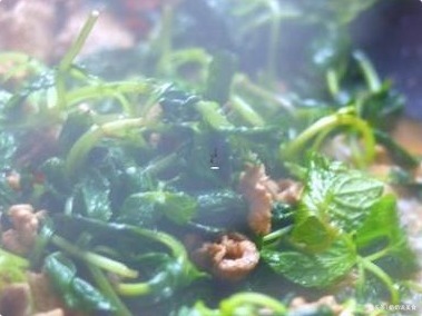 猪肉|孩子感冒咳嗽怎么办别慌!猪肉加“它”一起炒,止咳化痰防感冒