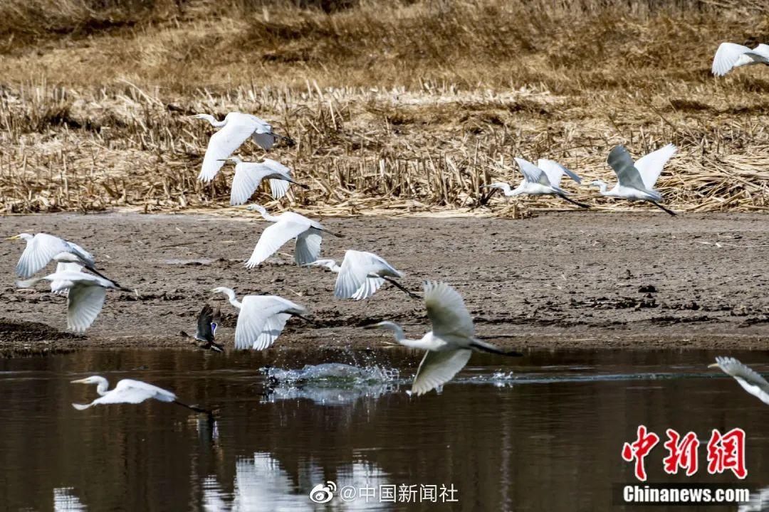 直击！西宁这个公园最近超热闹，到底咋回事...