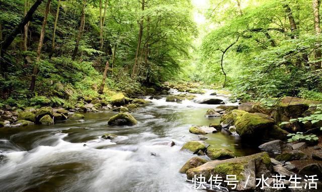 水穷处&王维最经典的一首五律,每一句都充满了禅理,无人能出其右