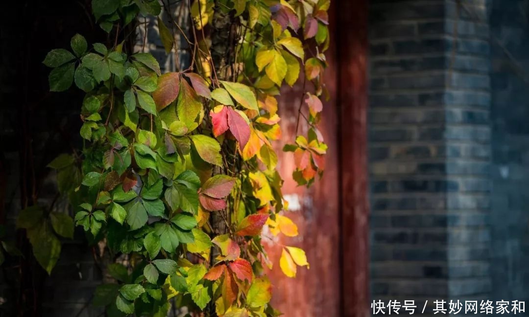 曾国藩240个子孙,无一个败家子,就凭这5句话