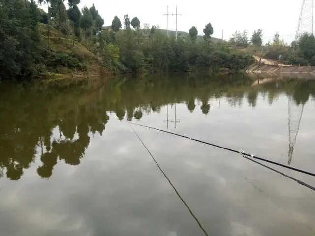 冬钓鲤鱼没有鱼口?这4个绝招快收下,老钓手的不传秘笈